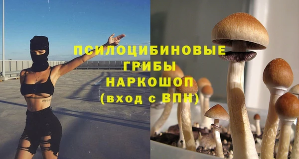 шишки Тавда