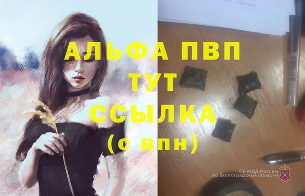 соль ск Горняк