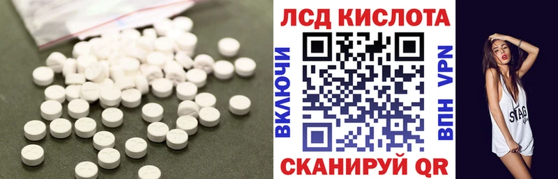 дарнет шоп  Зверево  Лсд 25 экстази ecstasy 